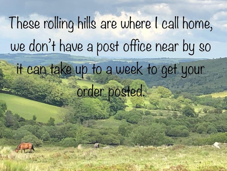 Stirling Silver And Bronze Twilight Fern Necklace