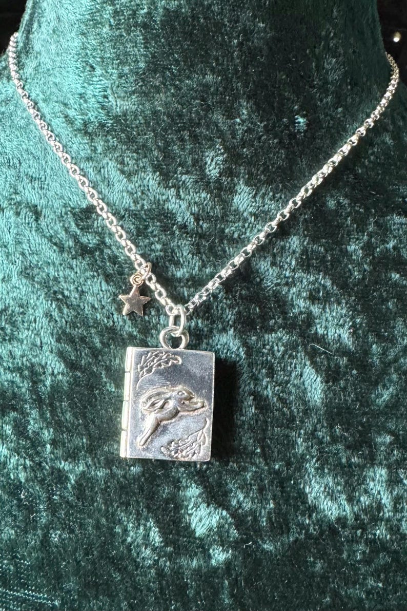 Stirling Silver And Bronze Leaping Hare Moon Gazing Hare Locket