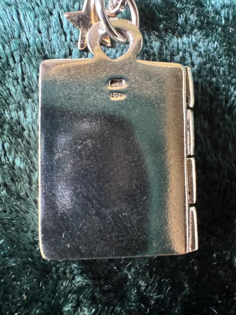 Stirling Silver And Bronze Leaping Hare Moon Gazing Hare Locket