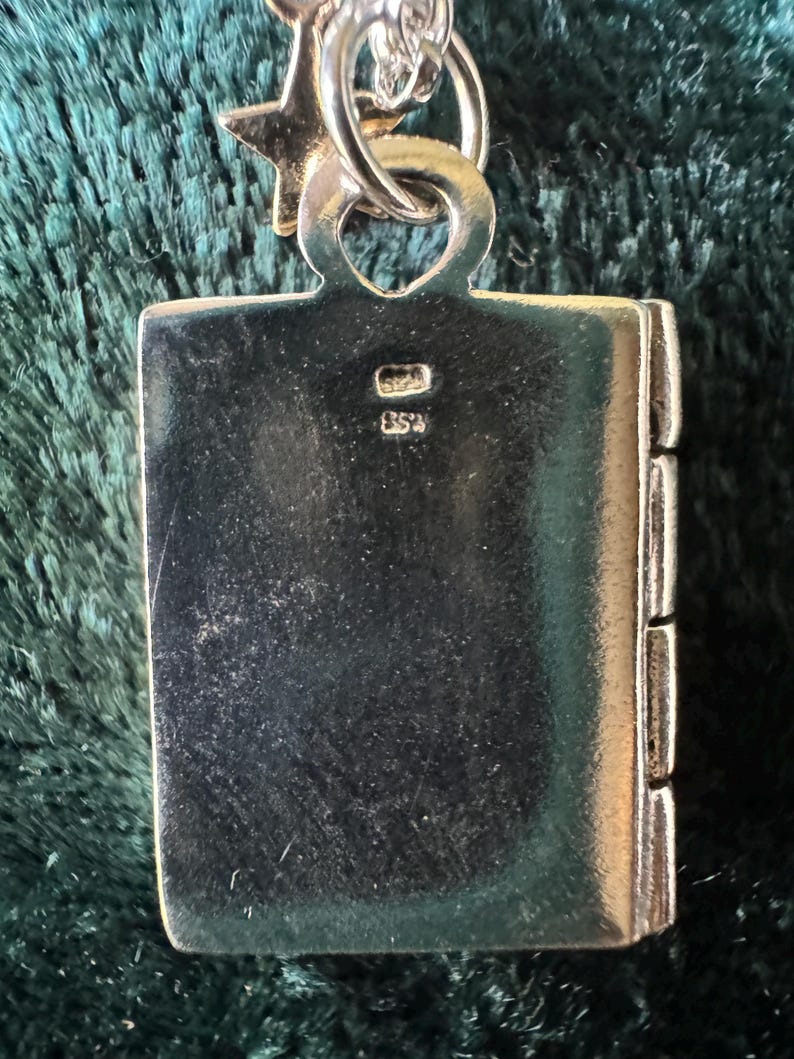 Stirling Silver And Bronze Leaping Hare Moon Gazing Hare Locket